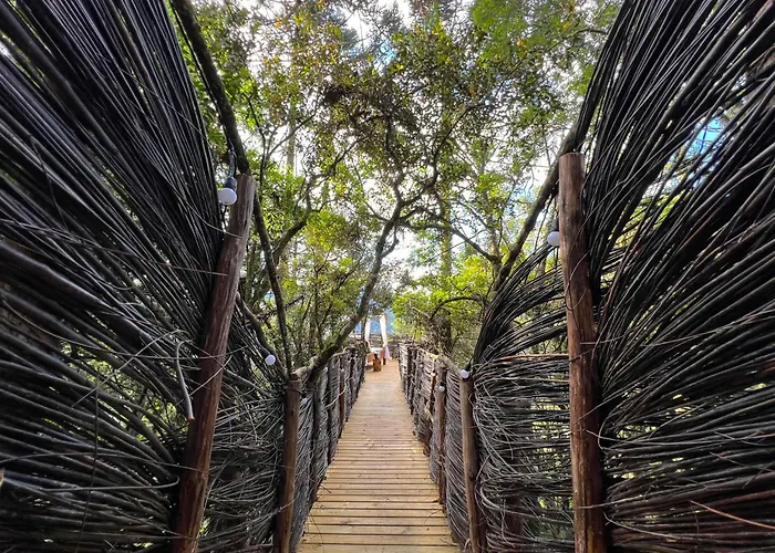 Zion Bubble Glamping Hotel Urubici